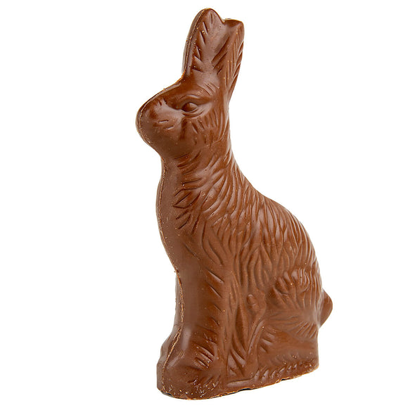 Milk Chocolate Solid Easter Bunny