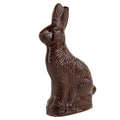 Dark Chocolate Solid Easter Bunny